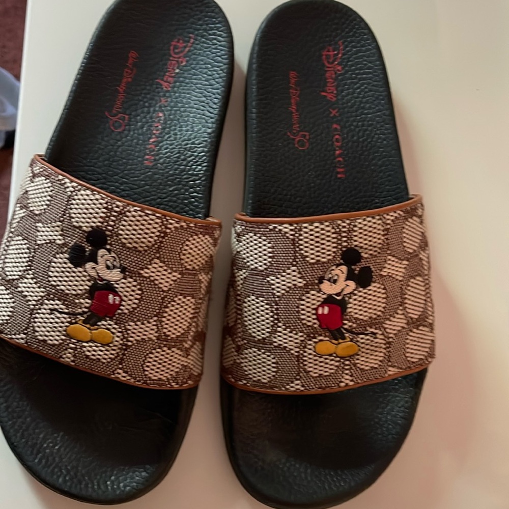 Coach x Disney slides worn once